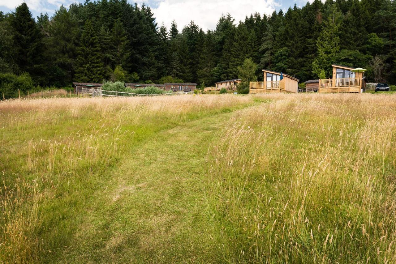 Tayview Lodges Pitlochry Zewnętrze zdjęcie