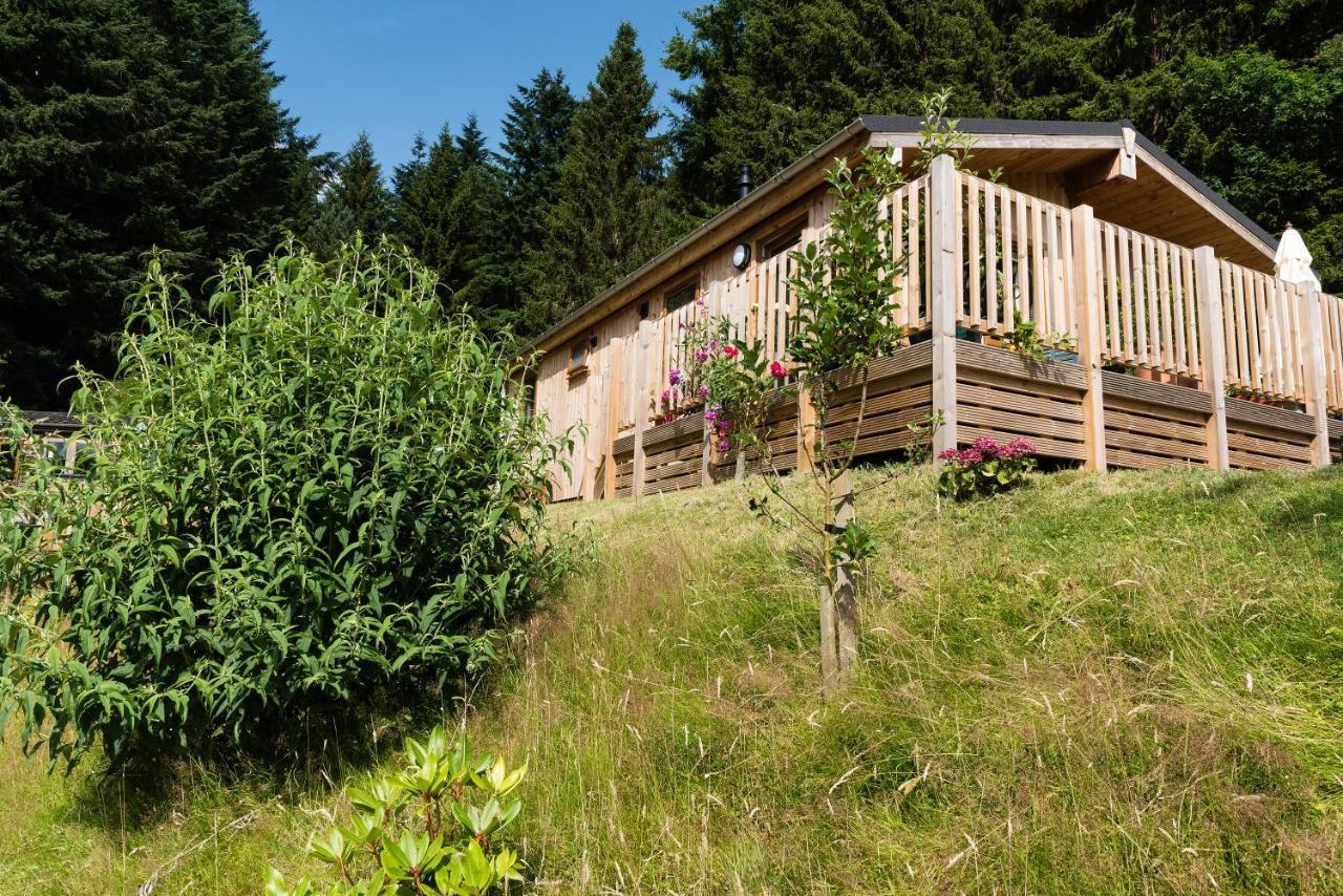 Tayview Lodges Pitlochry Zewnętrze zdjęcie